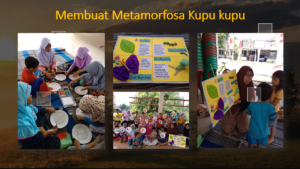 Slide43